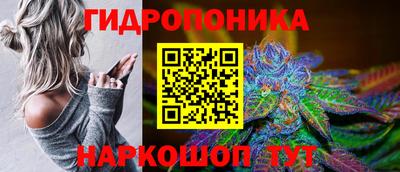прущие крисы Северобайкальск