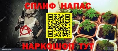 дживик Свободный